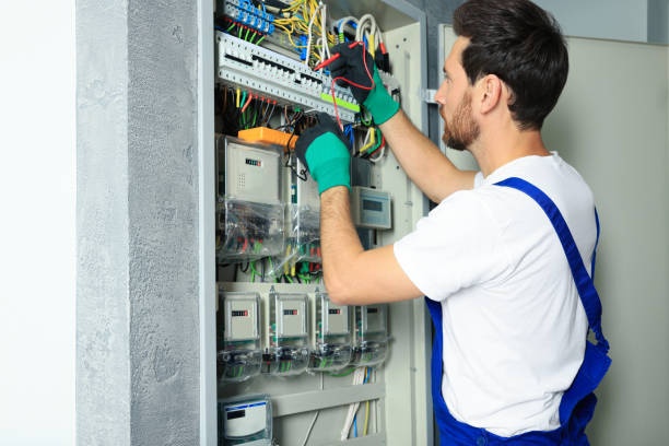 Best Affordable Electrician  in Skidway Lake, MI